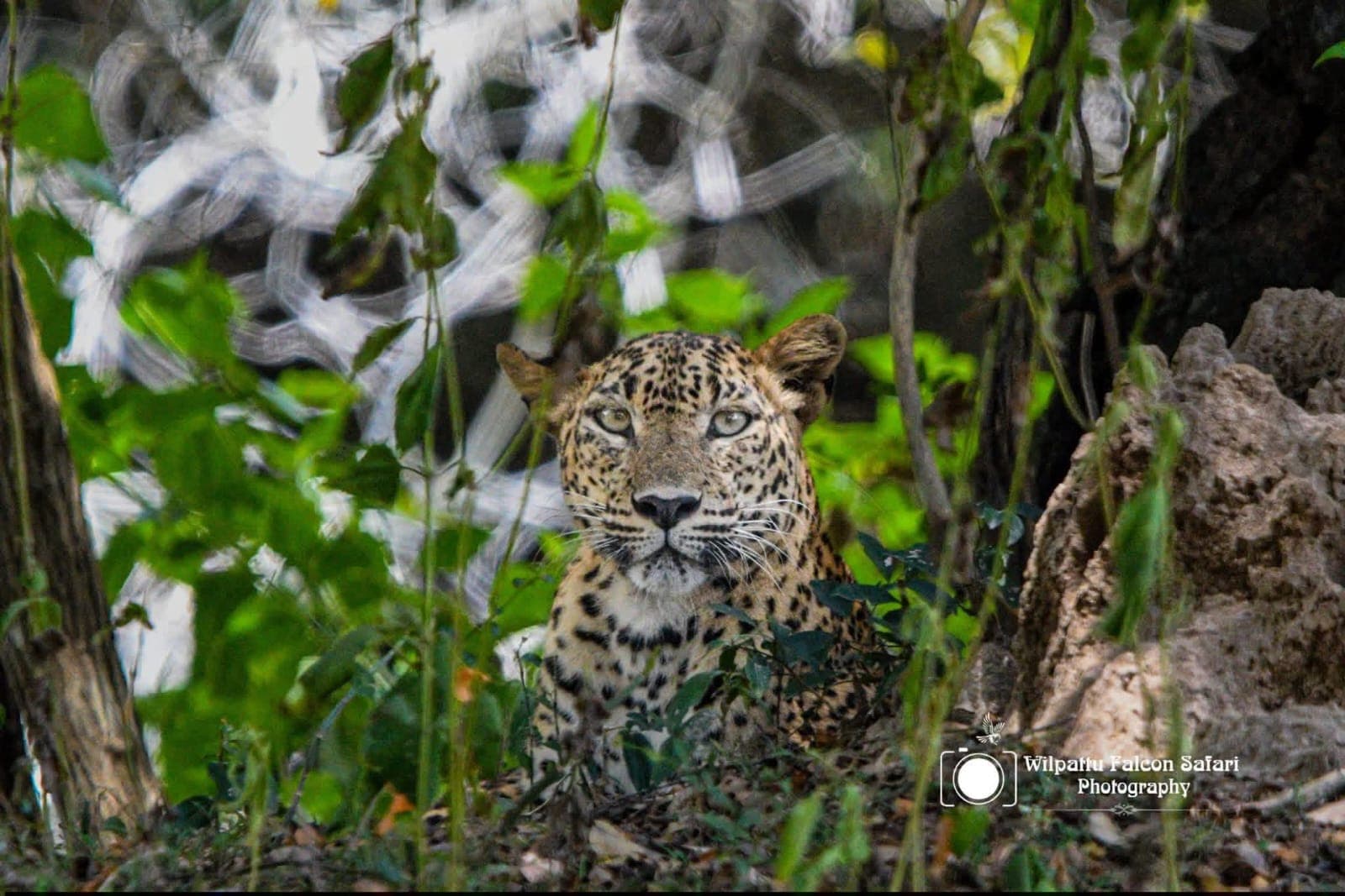 WhatsApp Image 2026-04-23 at 16.39.28