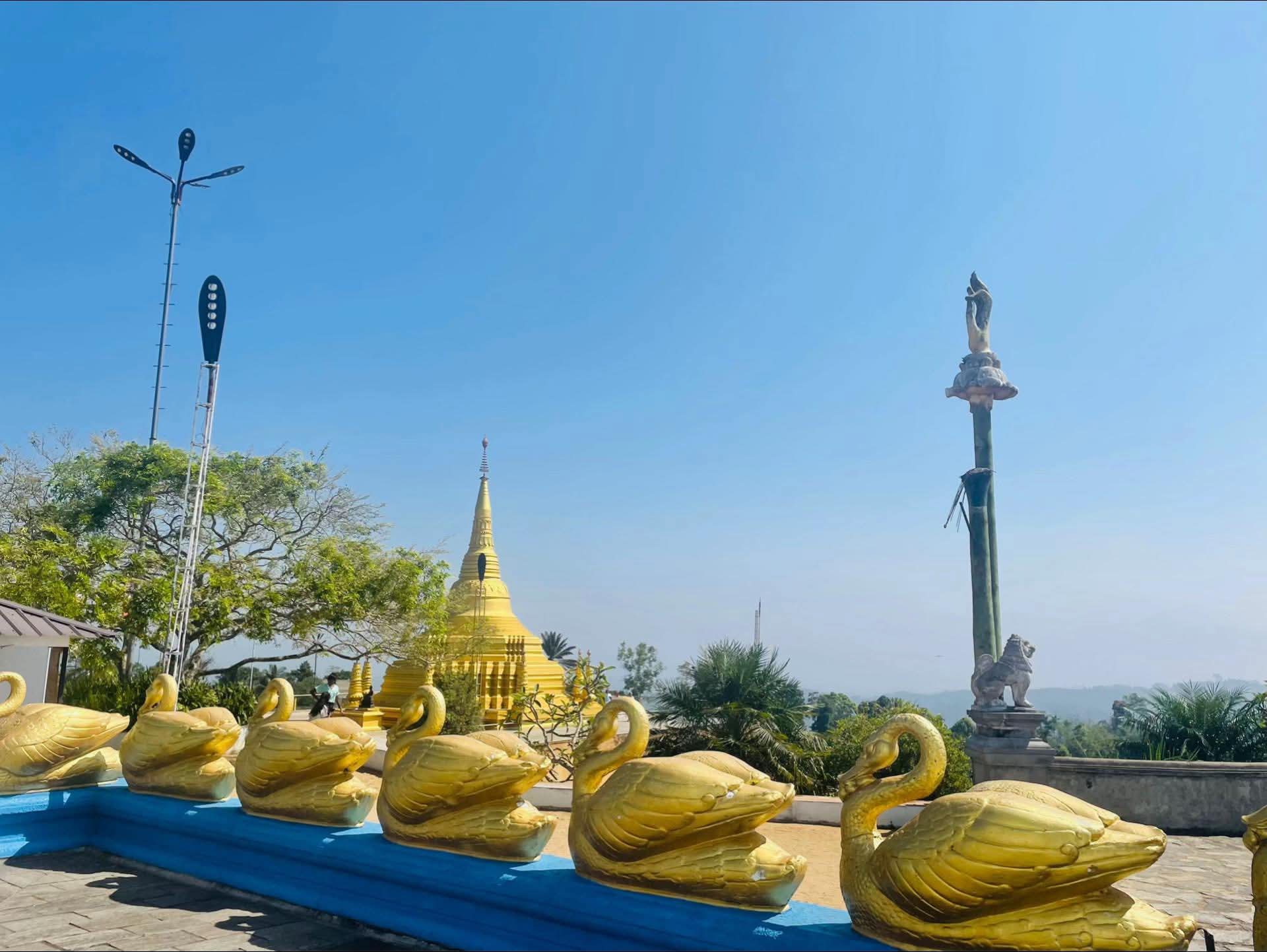 WhatsApp Image 2026-04-23 at 16.39.30 (1)