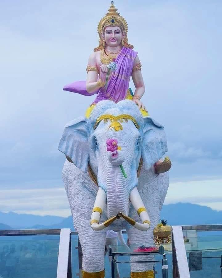 WhatsApp Image 2026-04-23 at 16.39.31 (2)