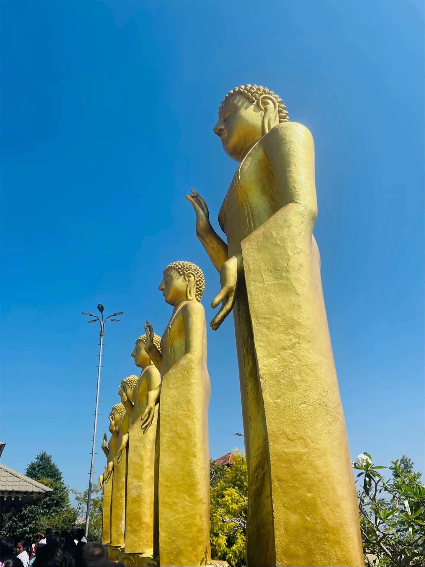 WhatsApp Image 2026-04-23 at 16.39.33 (1)