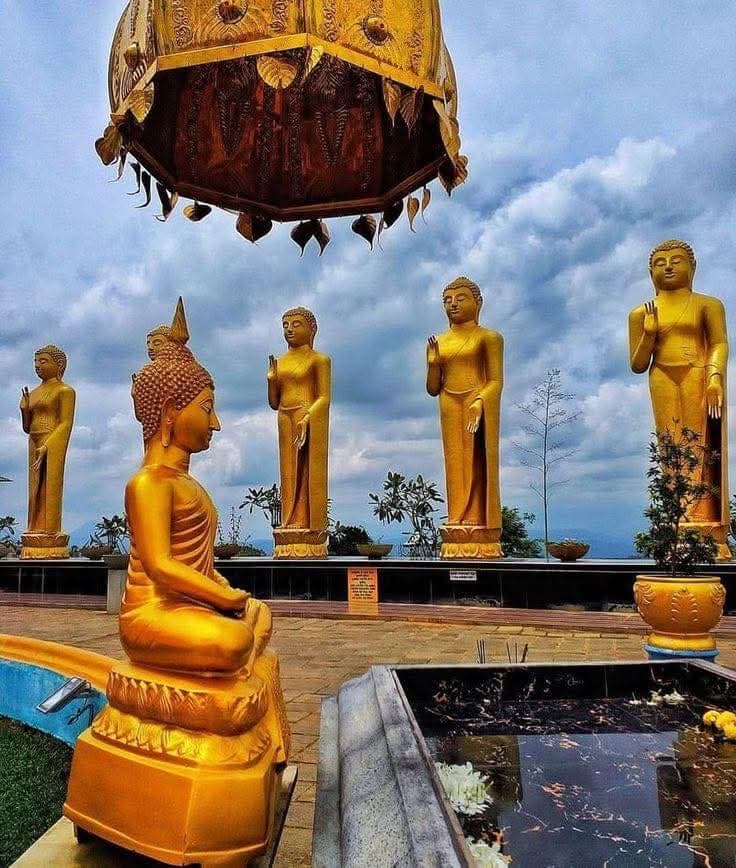 WhatsApp Image 2026-04-23 at 16.39.33 (3)