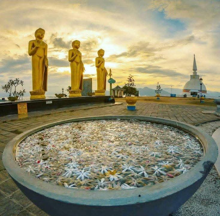 WhatsApp Image 2026-04-23 at 16.39.33