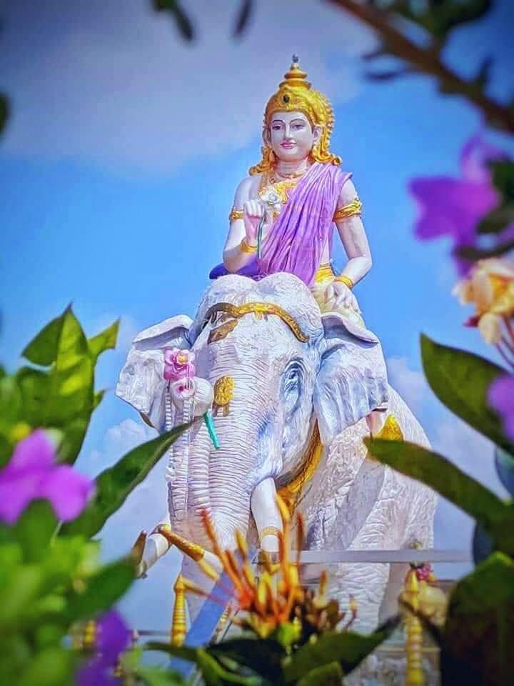 WhatsApp Image 2026-04-23 at 16.39.34